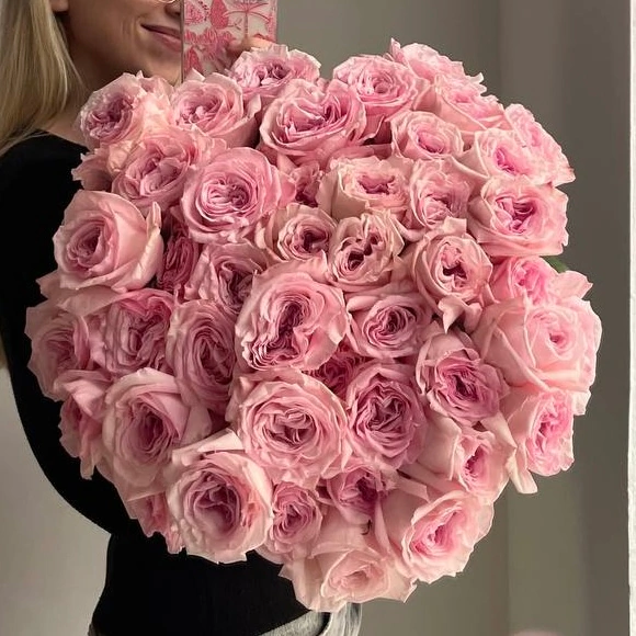 Роза Pink O’Hara